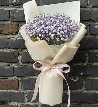 Букет цветов из:  Гипсофила в Шварцевский