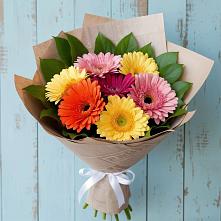 Букет цветов из:  Герберы #REPLACE_PRED# Шварцевский