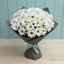 Букет цветов из:  Хризантемы в Шварцевский