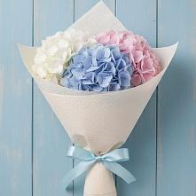 Букет цветов из:  Гортензия в Шварцевский