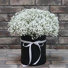 Цветочная композиция из Гипсофила в шляпной коробке #REPLACE_PRED# Шварцевский