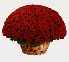 Премиум букет из: Розы в Шварцевский