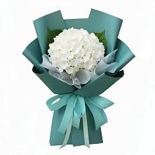 Букет цветов из:  Гортензия #REPLACE_PRED# Шварцевский